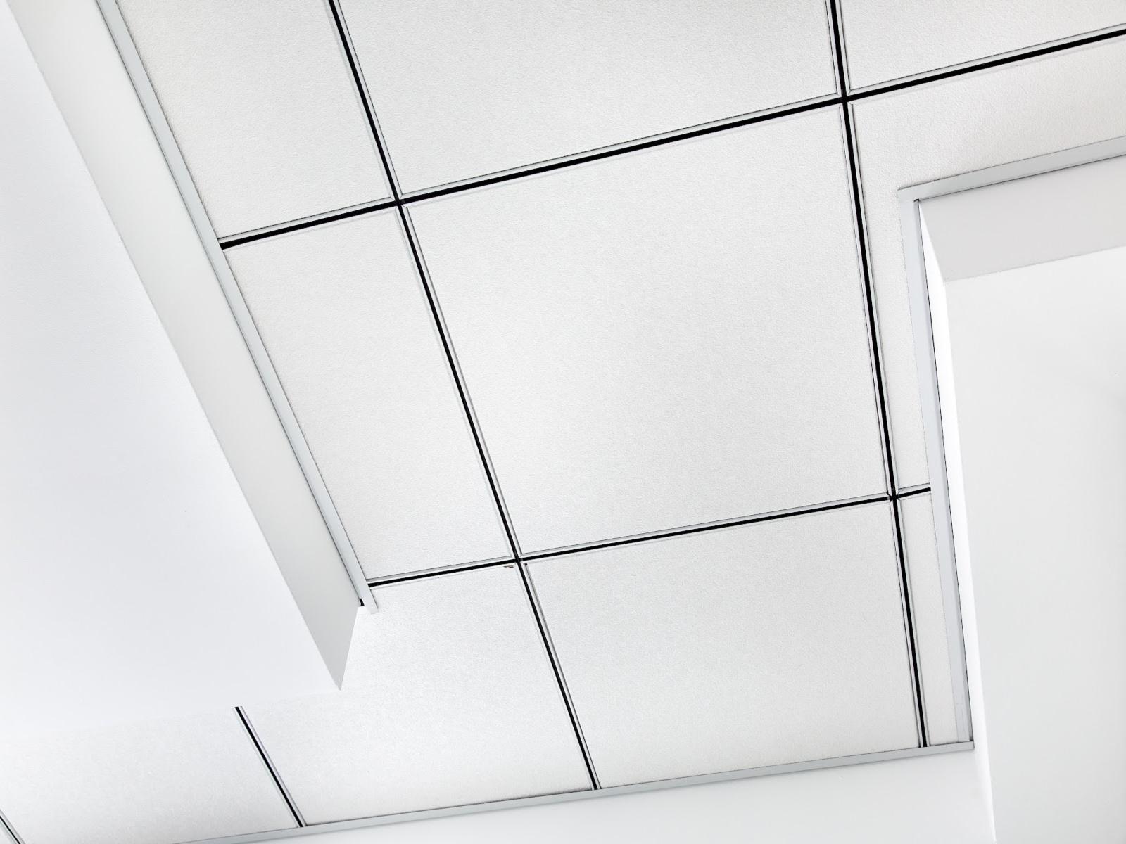 What are the Types of Suspended Acoustic Ceilings?